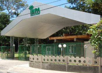 Instituto Nacional de Pesquisas da Amazônia (Inpa) realiza pesquisa com plantas para eliminar o mosquito transmissor da malária