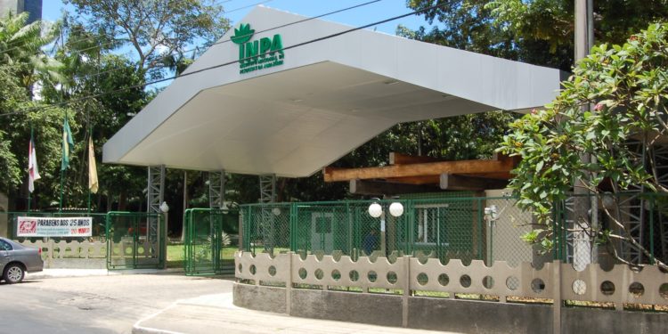 Instituto Nacional de Pesquisas da Amazônia (Inpa) realiza pesquisa com plantas para eliminar o mosquito transmissor da malária