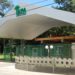 Instituto Nacional de Pesquisas da Amazônia (Inpa) realiza pesquisa com plantas para eliminar o mosquito transmissor da malária