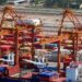 Corrupção e violações aos direitos humanos no Porto de Suape-PE