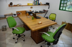 Bambu em escala industrial