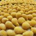Concurso Maravilhas Gastronômicas do Estado do Rio