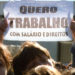 MR - 13 JANEIRO 03 - MANIFESTACAO DOS TRABALHADORES DA MULTINACIONAL DE CALCADO CLARKS - DESEMPREGO - DESPEDIMENTOS - DESPEDIMENTO -03/02/26-