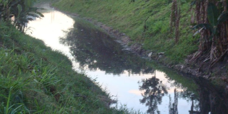 Esgoto a céu aberto