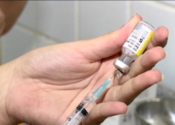 Riscos de reurbanização da Febre amarela