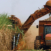 Produção de Cana de Açúcar