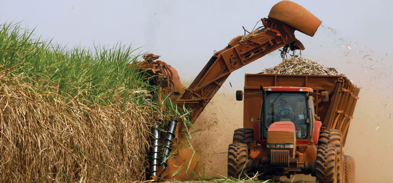 Produção de Cana de Açúcar