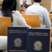 Reforma trabalhista: O resultado das mudanças da CLT para o mercado de trabalho