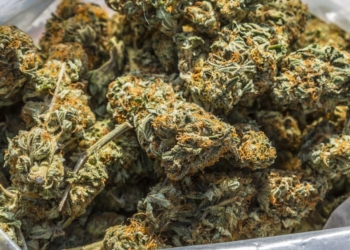 Uso medicinal da maconha no Peru | Foto: Arquivo virtual