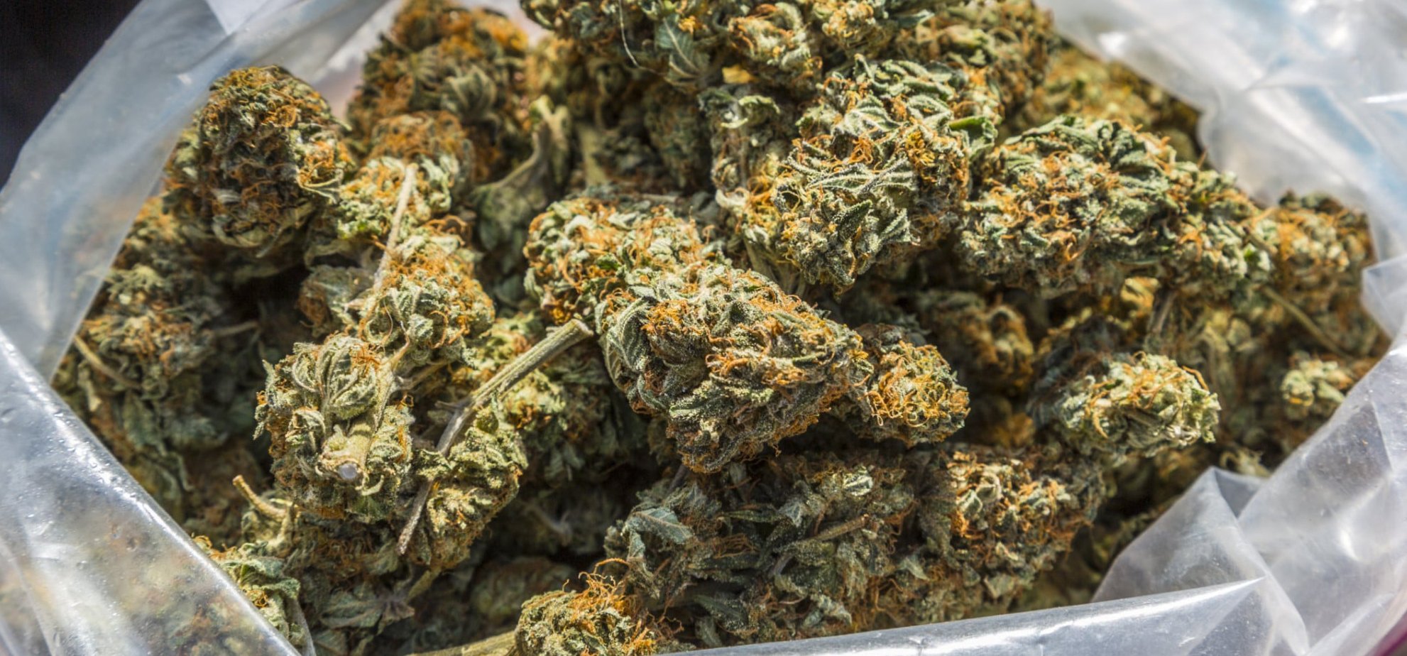 Uso medicinal da maconha no Peru | Foto: Arquivo virtual