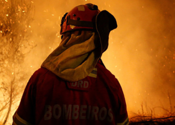 Bombeiro tentando debelar um dos focos de incêndio em Portugal | Foto: Sputnik
