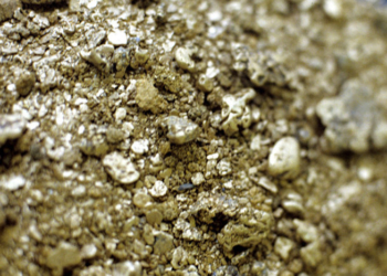 Exploração de ouro | Foto: Sputnik News