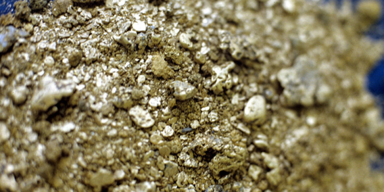Exploração de ouro | Foto: Sputnik News