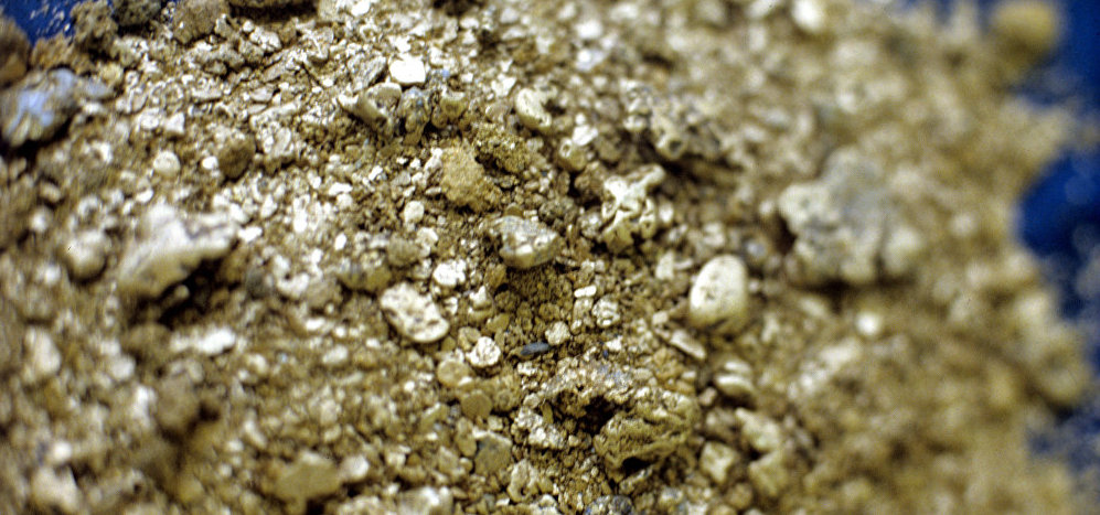 Exploração de ouro | Foto: Sputnik News