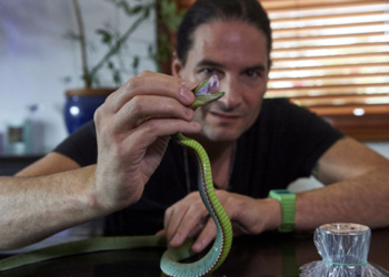 Músico que injeta veneno de serpente no corpo | Foto: Sputnik/AFP