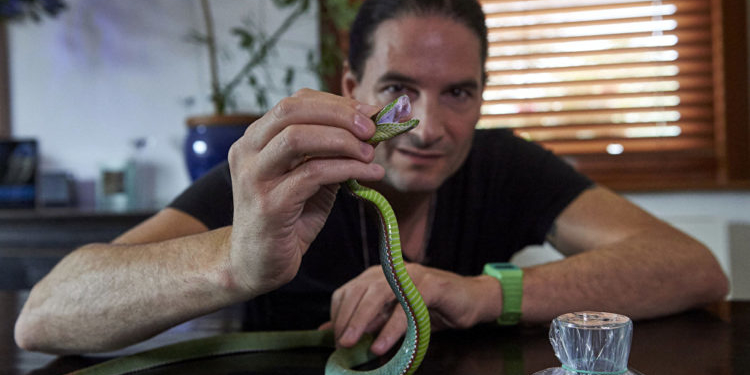 Músico que injeta veneno de serpente no corpo | Foto: Sputnik/AFP