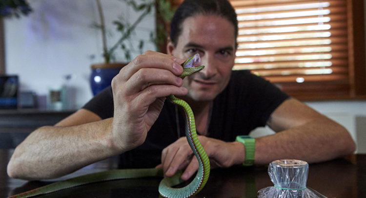 Músico que injeta veneno de serpente no corpo | Foto: Sputnik/AFP