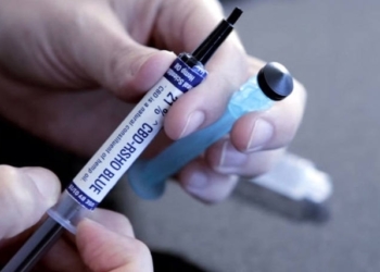 Maconha para uso terapêutico | Foto: Divulgação