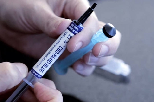 Maconha para uso terapêutico | Foto: Divulgação