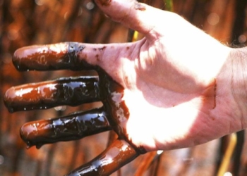 Produtores de petróleo | Foto: ilustração