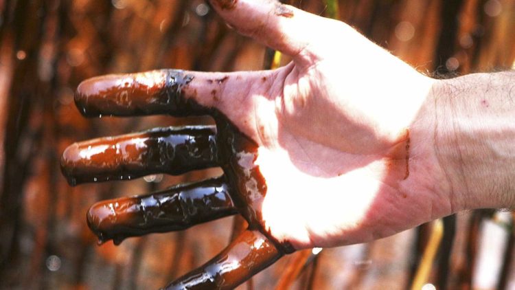 Produtores de petróleo | Foto: ilustração