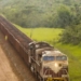 Investimento Russo e Chinês | Foto: VIU!