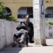 Violência no Brasil | Foto: Arquivo