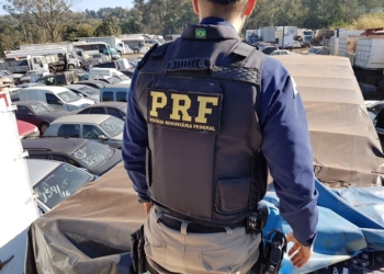Apreensões da Polícia Rodoviária Federal durante a Operação Égide | Foto: EBC