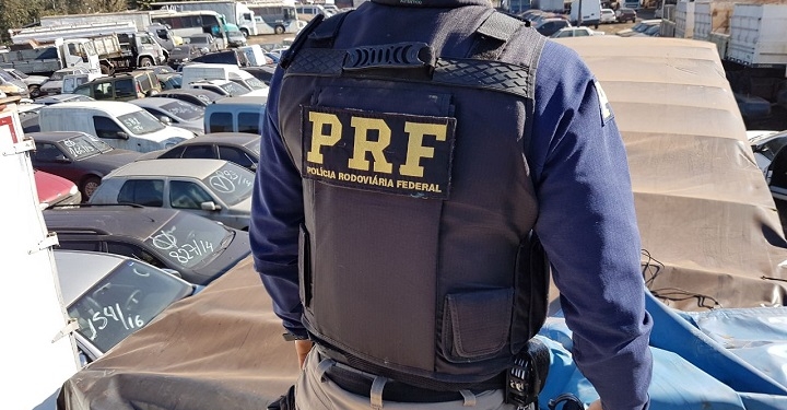 Apreensões da Polícia Rodoviária Federal durante a Operação Égide | Foto: EBC