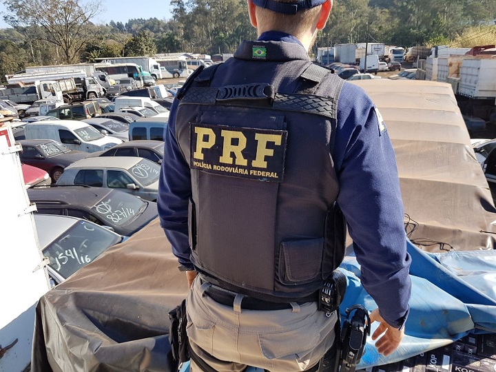 Apreensões da Polícia Rodoviária Federal durante a Operação Égide | Foto: EBC