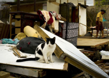 Dia do Trabalhador | Foto> AP