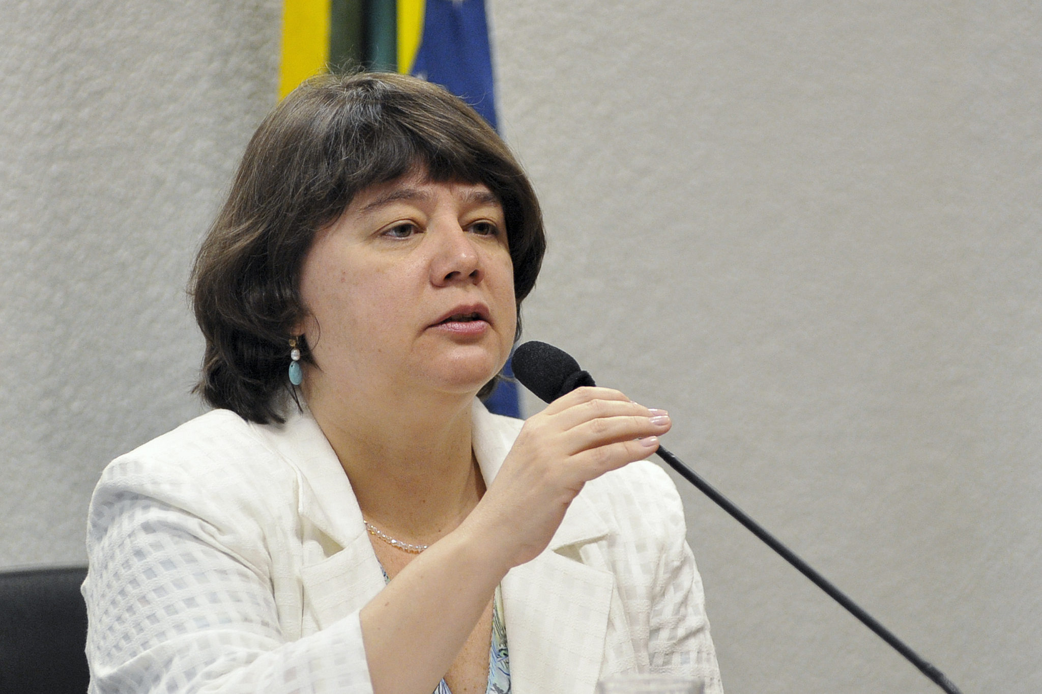 Subprocuradora-geral da República Luiza Cristina Frischeisen | Foto: Estadão