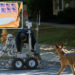 Foto: Reuters / Mark Makel; Global Look Press