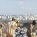 Foto: Agência Brasil