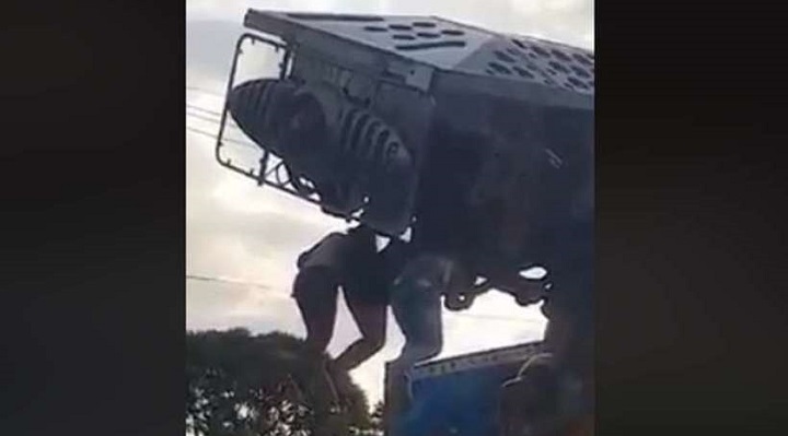 Foto: Reprodução
