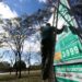 A Petrobras anunciou nesta quinta-feira (4) que reduzirá o preço médio da venda do diesel para as distribuidoras de R$ 5,61 para R$ 5,41, uma queda de R$ 0,20 por litro. A medida vale a partir de sexta-feira (5).