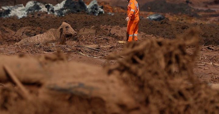 Acidente ambiental