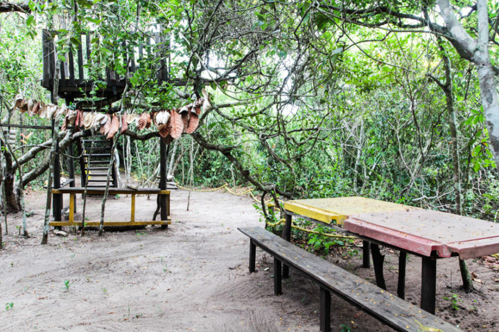 Parque Municipal em Macaé