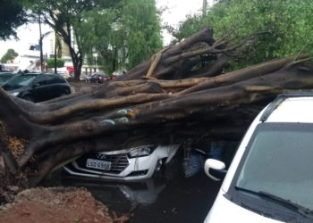 Campos RJ