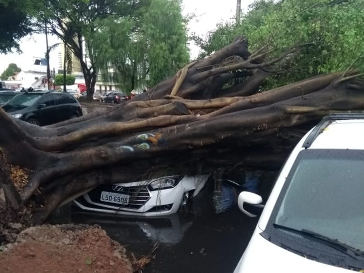 Campos RJ