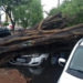 Campos RJ