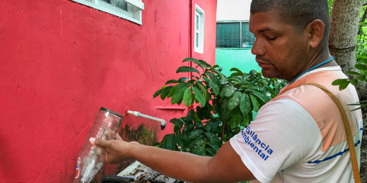 Combate ao chikungunya