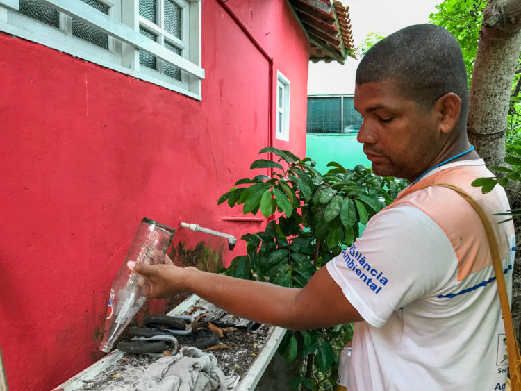 Combate ao chikungunya
