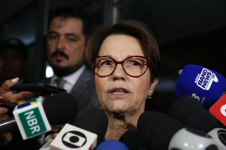 A deputada federal e futura  ministra da Agricultura no governo de Jair Bolsonaro, Tereza Cristina,dá entrevista na saída de sua residência em Brasília.