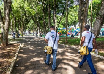 Chikungunya no Estado do RJ