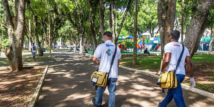 Chikungunya no Estado do RJ
