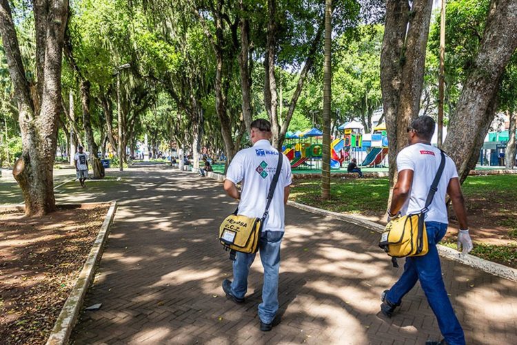 Chikungunya no Estado do RJ