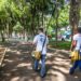 Chikungunya no Estado do RJ