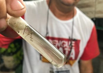 Surto de chikungunya em Campos-RJ