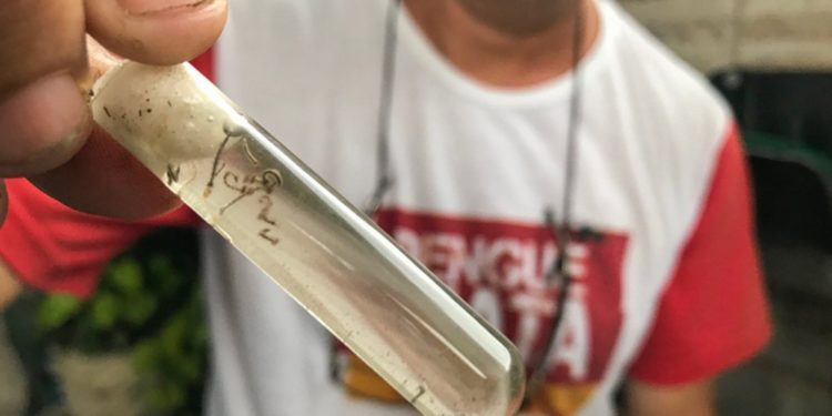 Surto de chikungunya em Campos-RJ